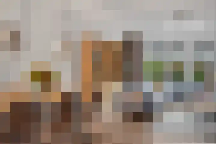 Vlierhoeve 100 Nieuwegein thumbnail 4