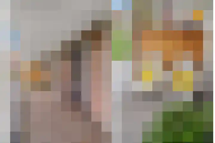 Vlierhoeve 100 Nieuwegein thumbnail 41