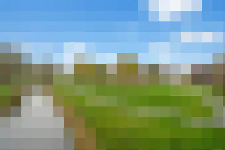 Vlierhoeve 100 Nieuwegein thumbnail 42
