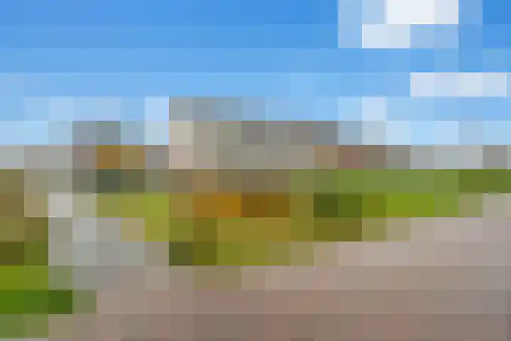 Vlierhoeve 100 Nieuwegein thumbnail 43