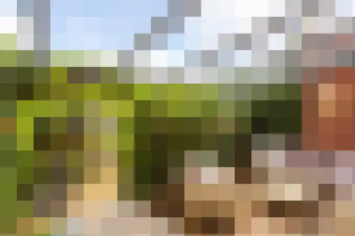 Vlierhoeve 41 Nieuwegein thumbnail 10
