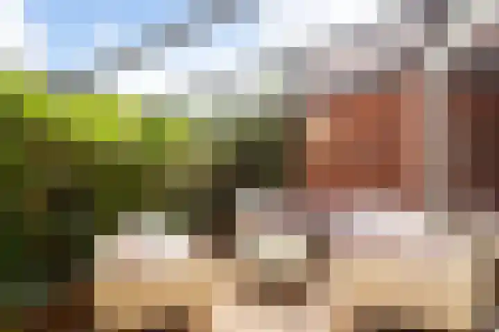 Vlierhoeve 41 Nieuwegein thumbnail 11