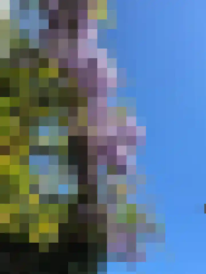 Vlierhoeve 41 Nieuwegein thumbnail 12