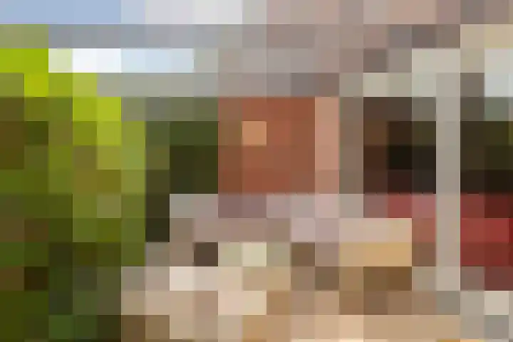 Vlierhoeve 41 Nieuwegein thumbnail 14