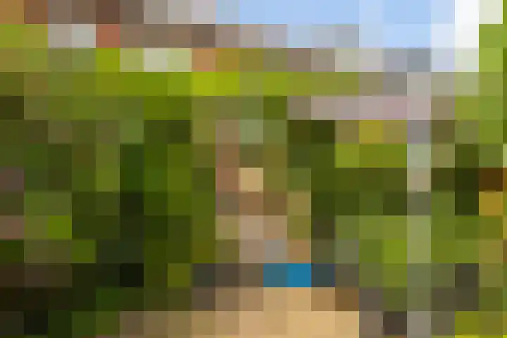 Vlierhoeve 41 Nieuwegein thumbnail 16