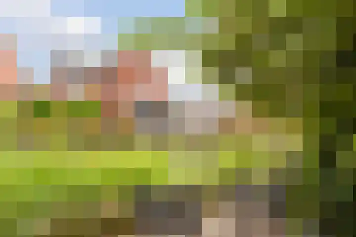 Vlierhoeve 41 Nieuwegein thumbnail 19