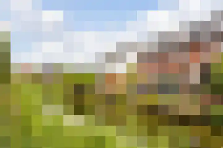 Vlierhoeve 41 Nieuwegein thumbnail 20