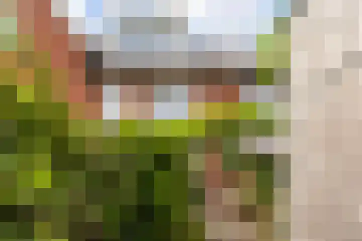 Vlierhoeve 41 Nieuwegein thumbnail 21