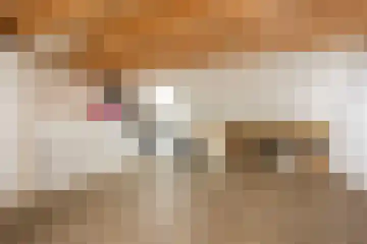 Vlierhoeve 41 Nieuwegein thumbnail 36