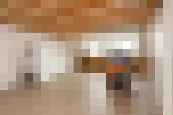Vlierhoeve 41 Nieuwegein thumbnail 38