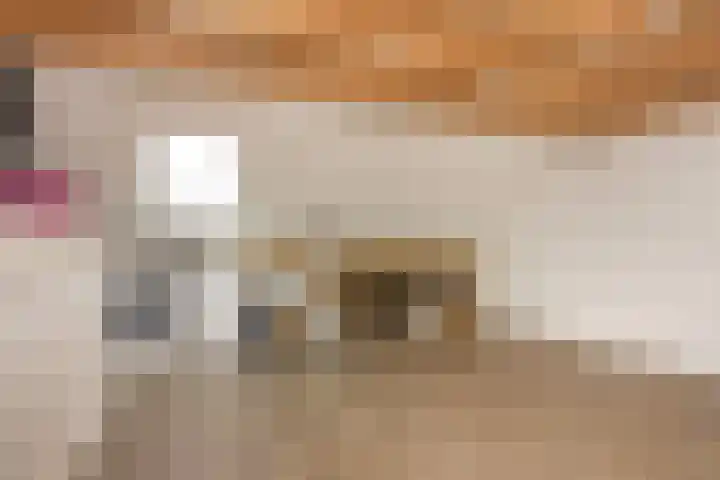 Vlierhoeve 41 Nieuwegein thumbnail 39