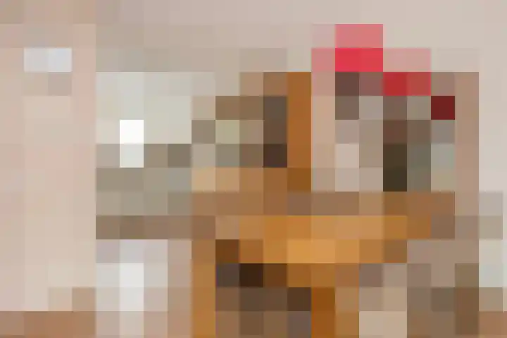 Vlierhoeve 41 Nieuwegein thumbnail 4