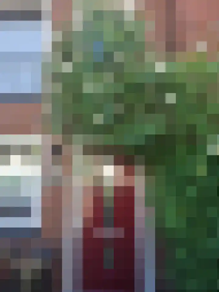 Vlierhoeve 41 Nieuwegein thumbnail 45