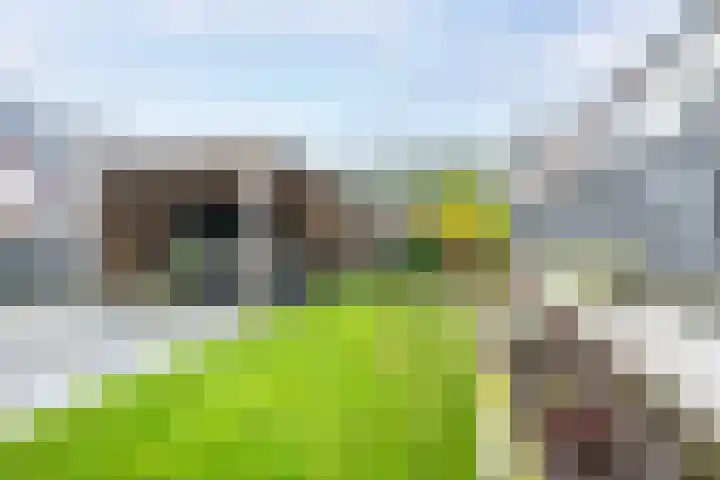 Vlierhoeve 63 Nieuwegein thumbnail 22