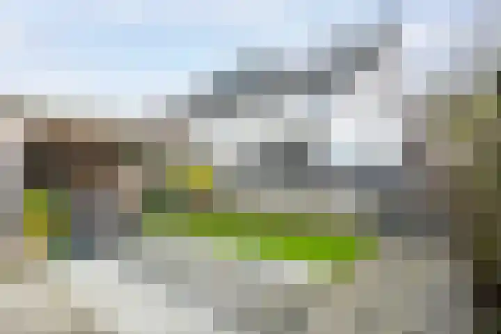 Vlierhoeve 63 Nieuwegein thumbnail 24
