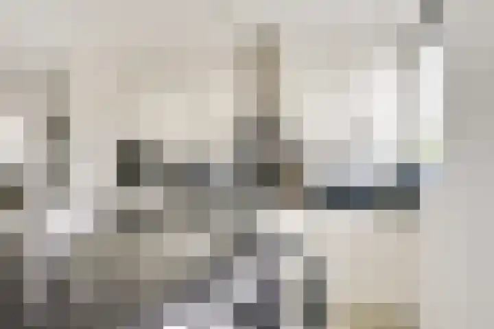 Vlierhoeve 63 Nieuwegein thumbnail 31