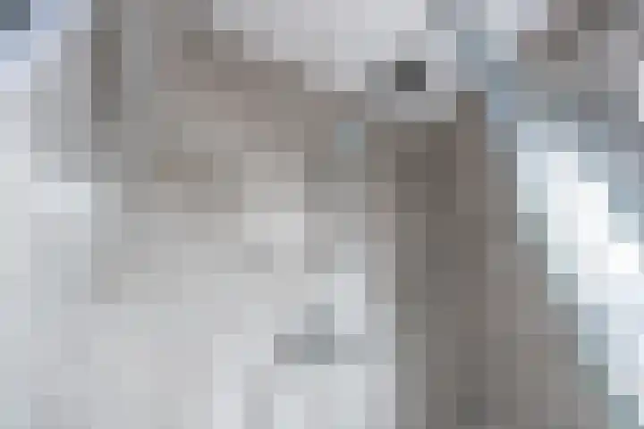 Vlierhoeve 63 Nieuwegein thumbnail 49