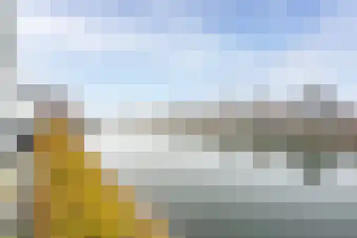 Vlierhoeve 63 Nieuwegein thumbnail 68