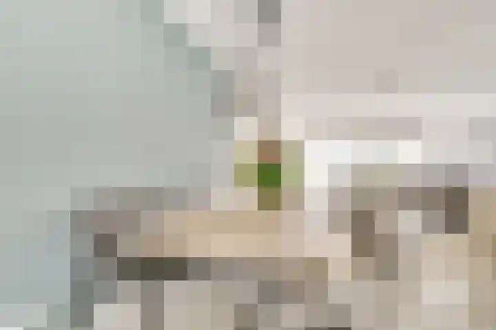 Vlierhoeve 63 Nieuwegein thumbnail 9