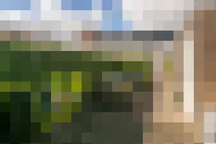 Vlierhoeve 68 Nieuwegein thumbnail 13