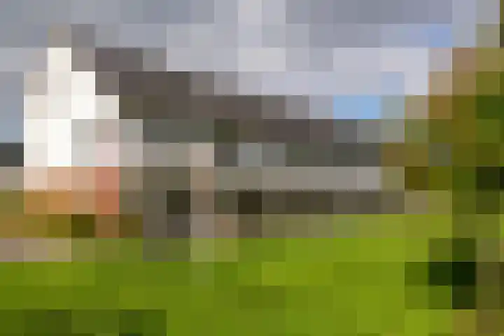 Vlierhoeve 68 Nieuwegein thumbnail 29