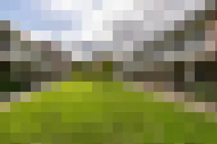 Vlierhoeve 68 Nieuwegein thumbnail 30