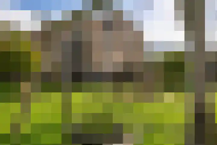Vlierhoeve 68 Nieuwegein thumbnail 31