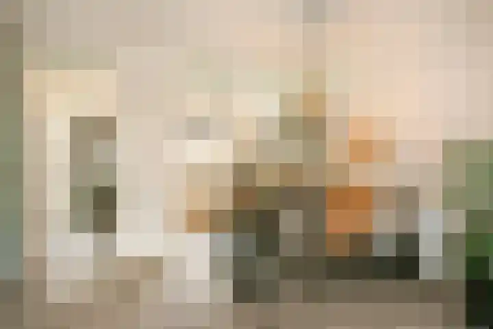 Vlierhoeve 68 Nieuwegein thumbnail 8