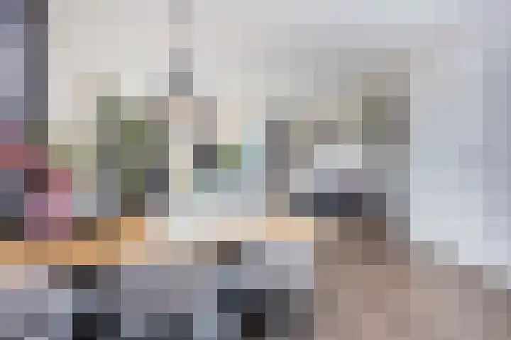 Vlierhoeve 70 Nieuwegein thumbnail 10