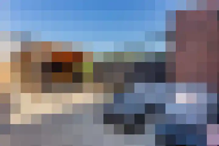 Vlierhoeve 70 Nieuwegein thumbnail 17