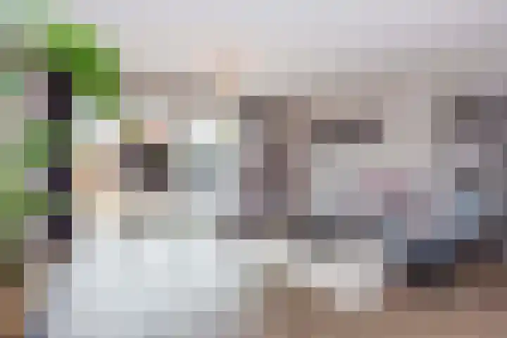 Vlierhoeve 70 Nieuwegein thumbnail 4