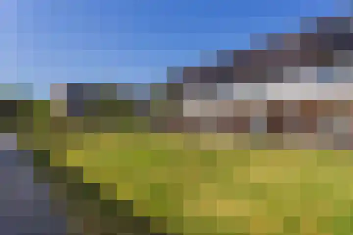 Vlierhoeve 70 Nieuwegein thumbnail 49