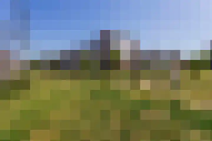 Vlierhoeve 70 Nieuwegein thumbnail 50