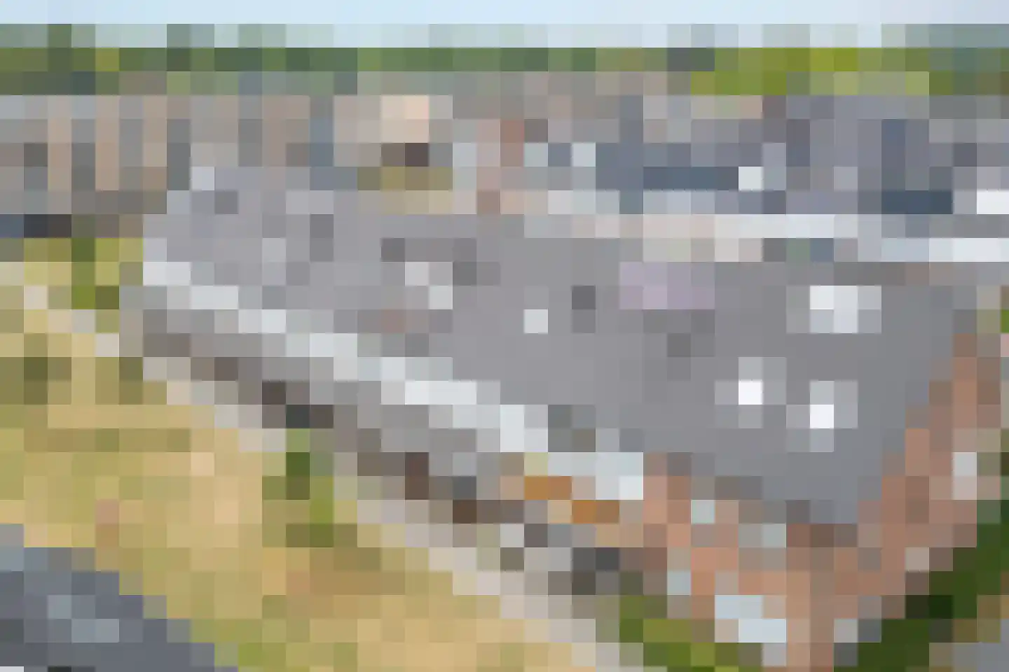 Vlierhoeve 78 Nieuwegein thumbnail 43