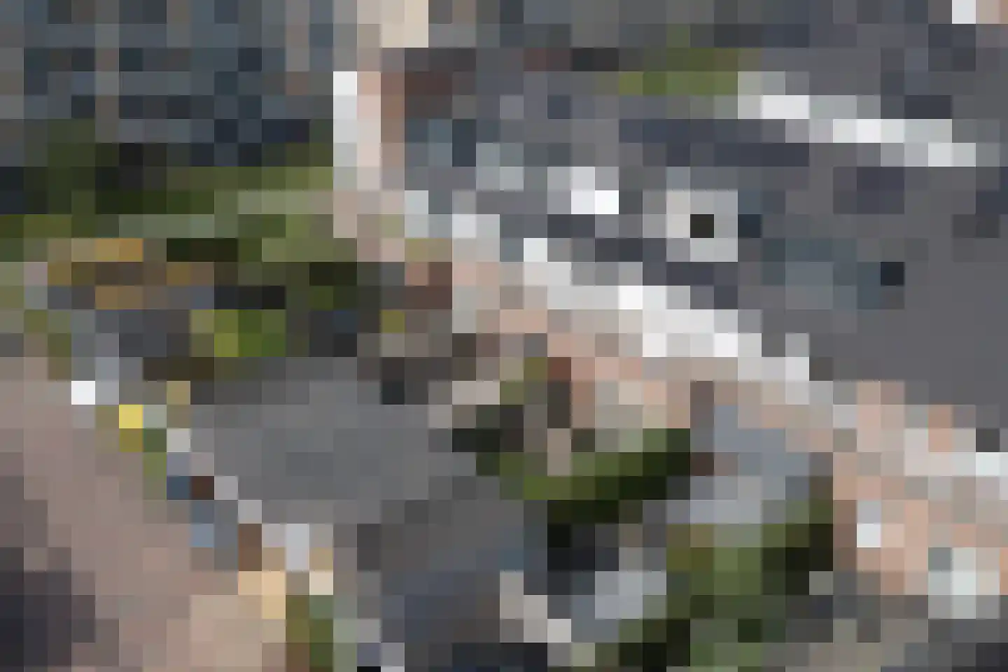 Vlierhoeve 86 Nieuwegein thumbnail 59