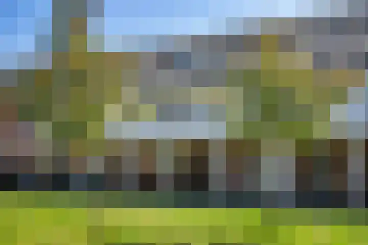 Vlierhoeve 88 Nieuwegein thumbnail 33