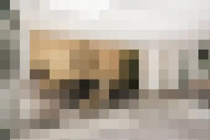 Vlierhoeve 88 Nieuwegein thumbnail 5