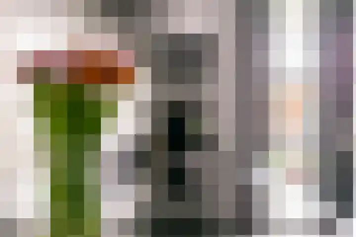 Vlierhoeve 88 Nieuwegein thumbnail 8