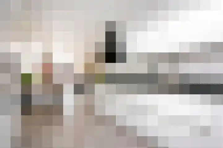 Vlierhoeve 88 Nieuwegein thumbnail 9