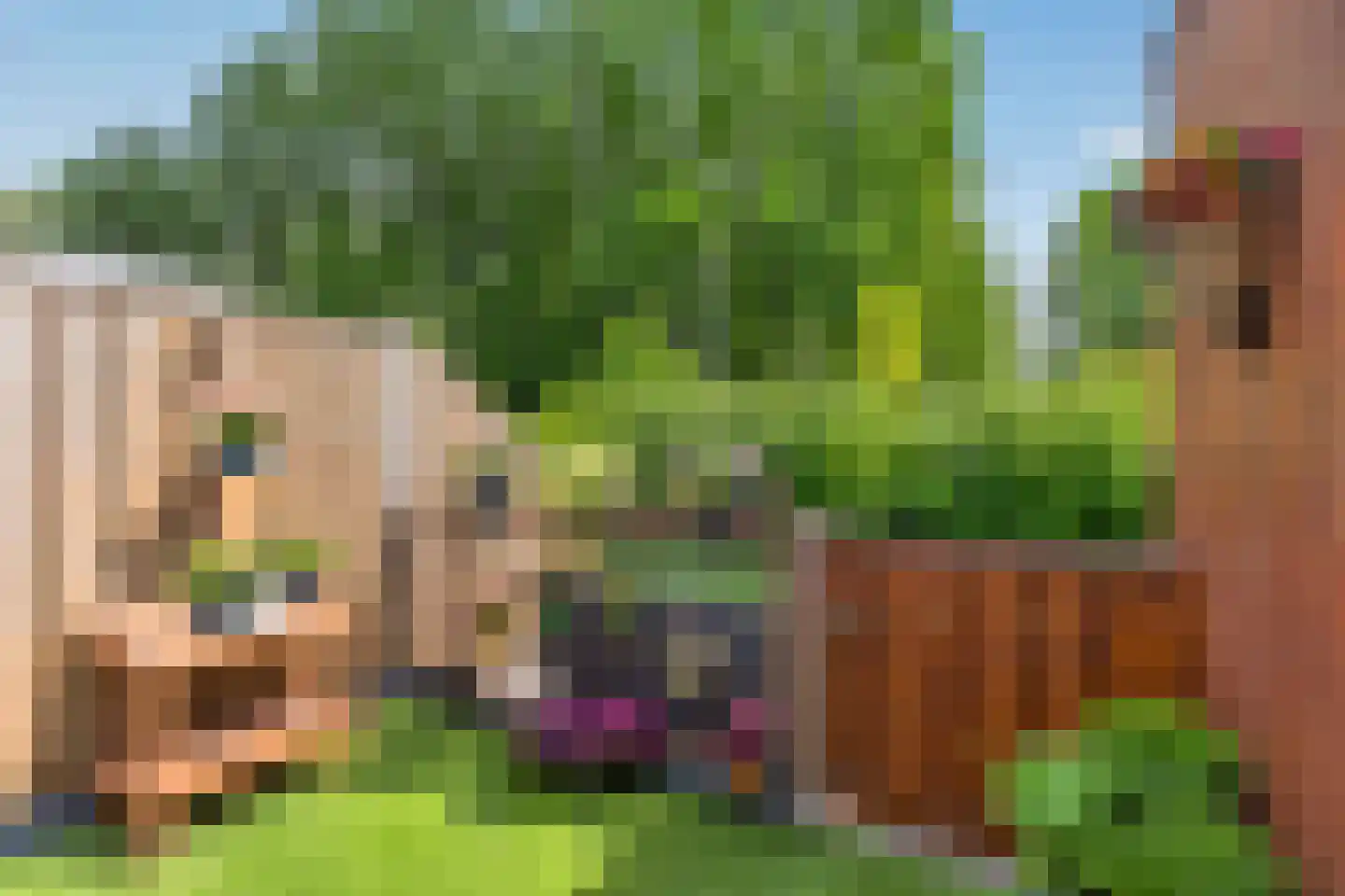 Vlierhoeve 95 Nieuwegein thumbnail 17