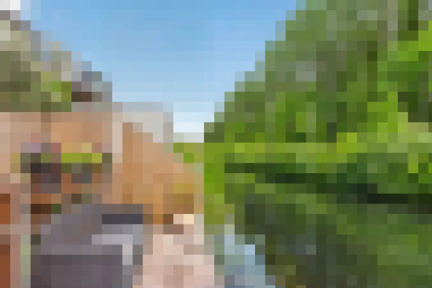 Vlierhoeve 95 Nieuwegein thumbnail 18