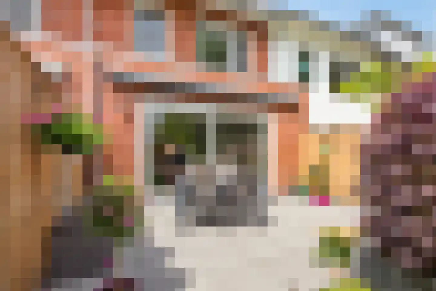 Vlierhoeve 95 Nieuwegein thumbnail 21