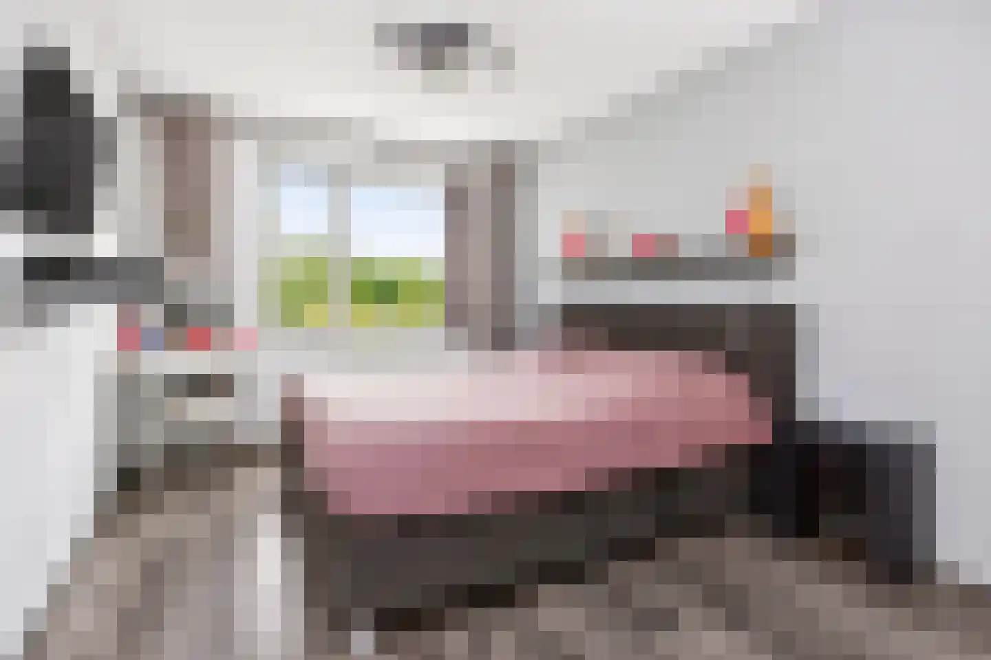 Vlierhoeve 95 Nieuwegein thumbnail 24