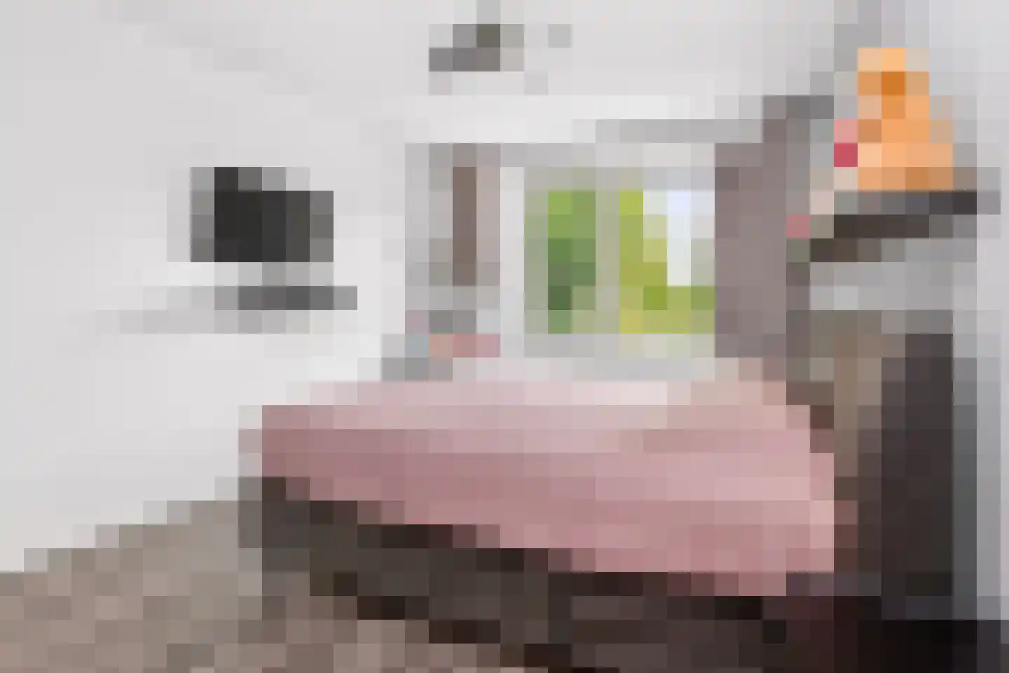 Vlierhoeve 95 Nieuwegein thumbnail 25