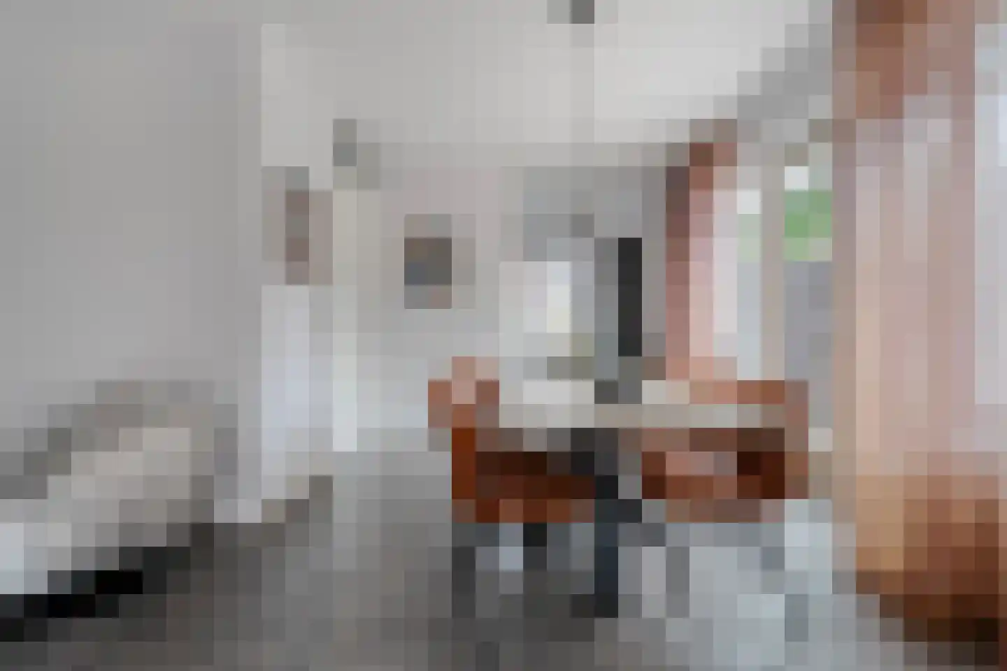 Vlierhof 15 Beilen thumbnail 13