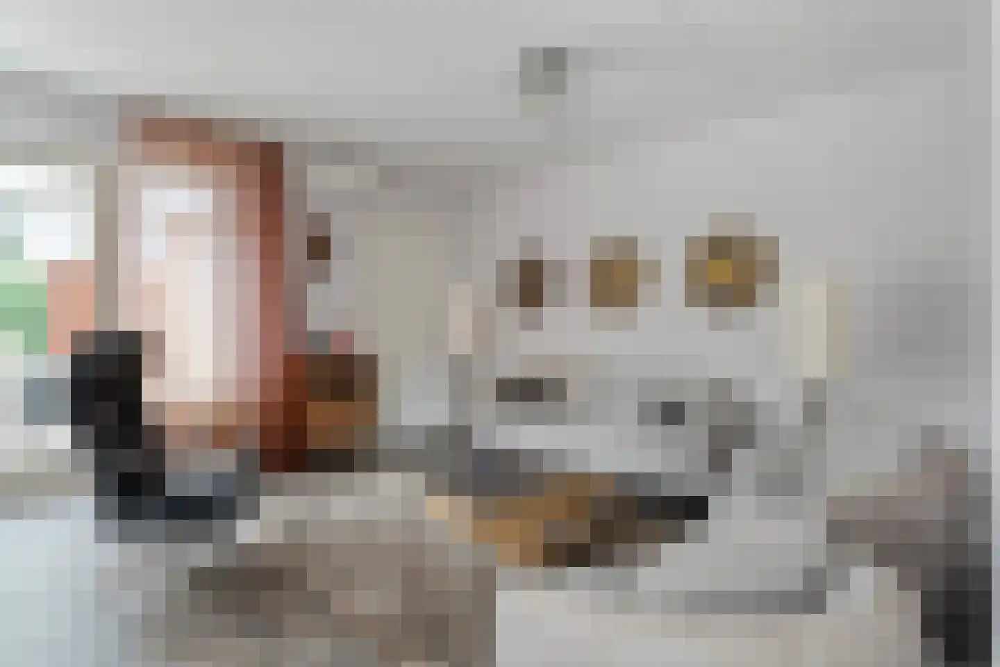 Vlierhof 15 Beilen thumbnail 14