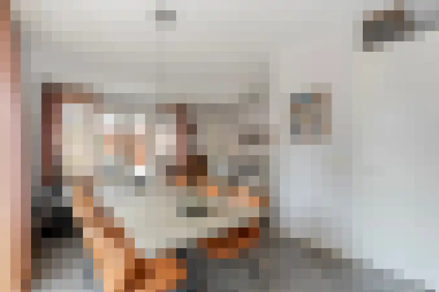Vlierhof 15 Beilen thumbnail 20