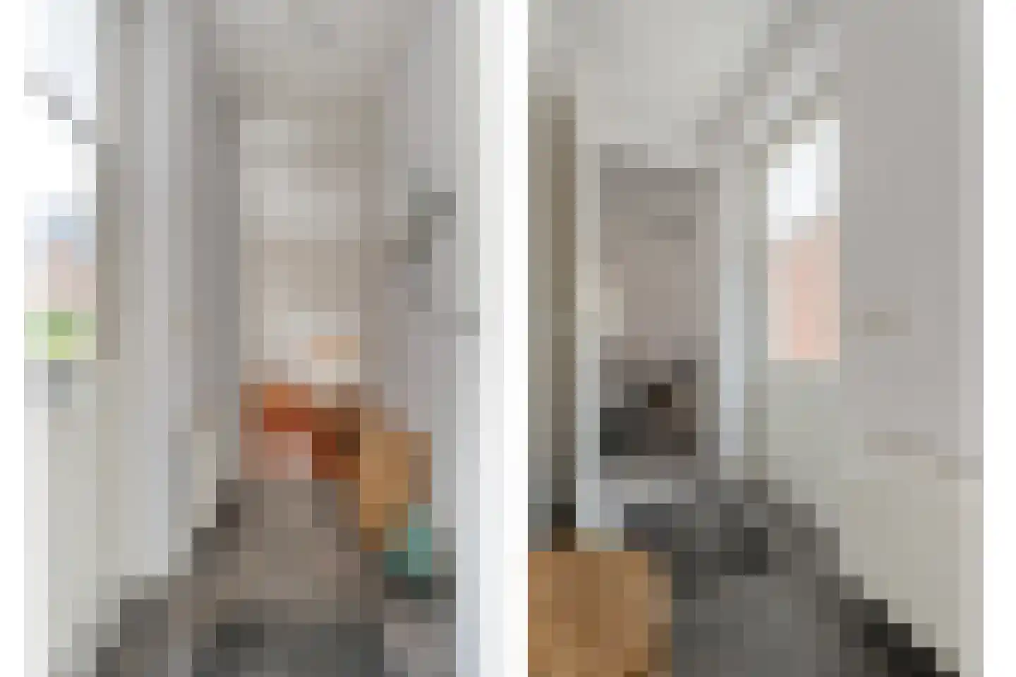 Vlierhof 15 Beilen thumbnail 21