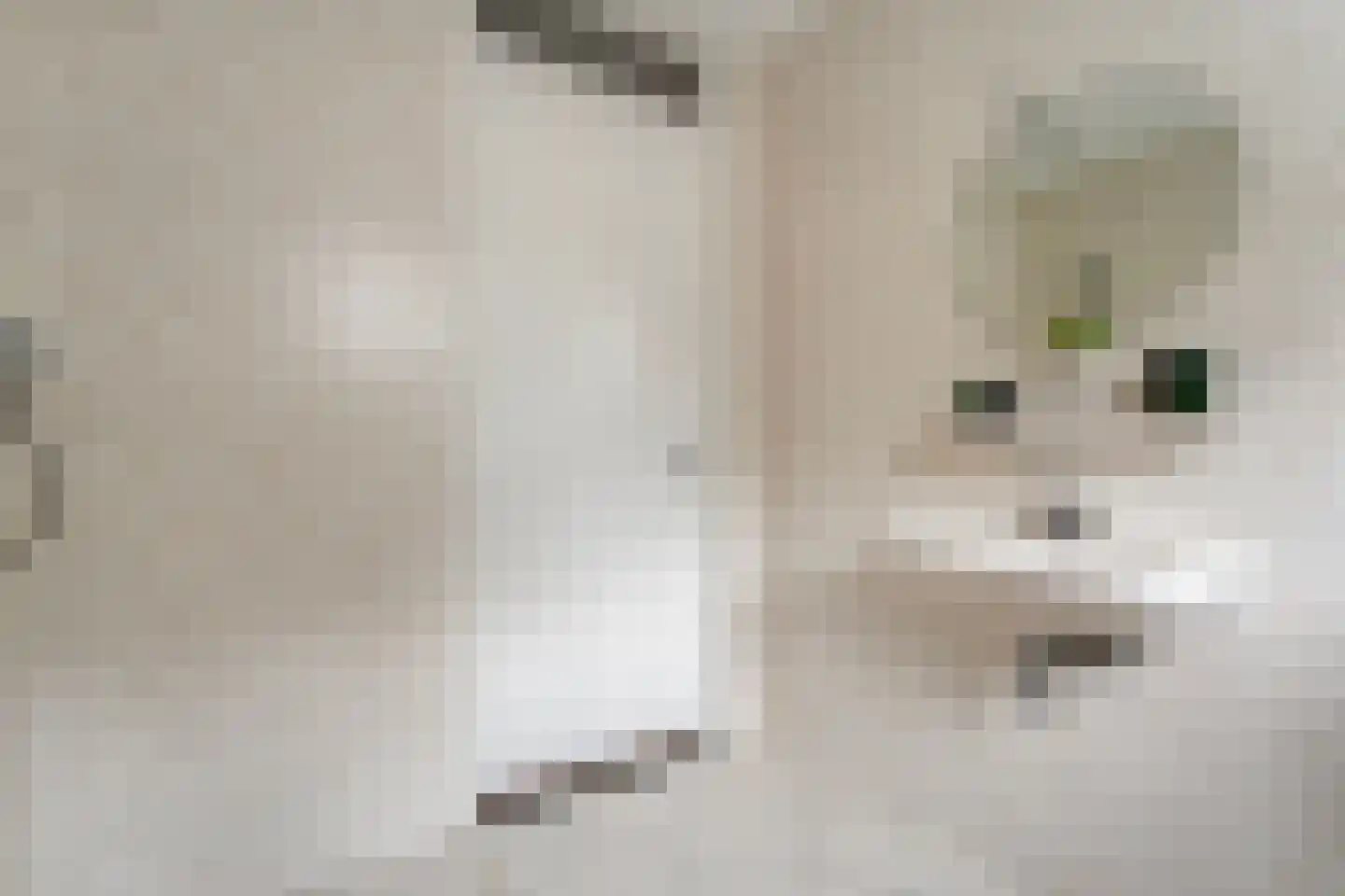 Vlierhof 15 Beilen thumbnail 35