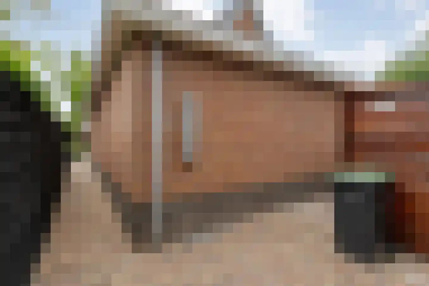 Vlierhof 15 Beilen thumbnail 43